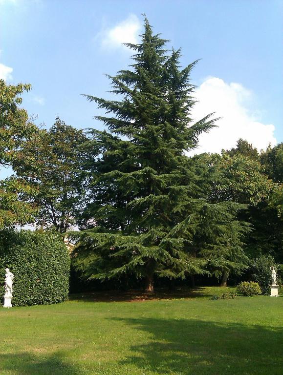 Villa Zane Treviso Exterior photo